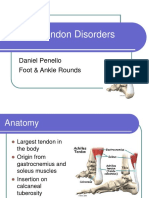 Achilles Tendon Disorders: Daniel Penello Foot & Ankle Rounds