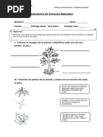 Prueba La Cabana en El Arbol