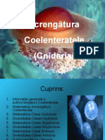 Celenteratele