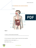 Ficha de Trabalho 2 PDF