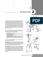 Anatomía Canina PDF