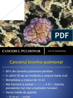 Cancerul+pulmonar+2011