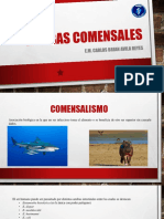 Amebas Comensales