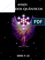 Instrucoes Comandos Quanticos PDF