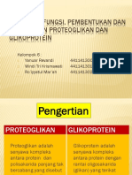 Proteoglikan Dan Glikoprotein