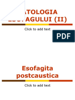 Patologia Esofagului2 Br