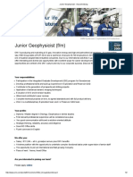 Junior Geophysicist