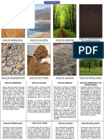 Tipos de suelos: arenoso, calizo, limoso, humífero