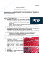 44-Anatomia Umana II-18.04.16-Anatomia Microscopica Apparato Digerente