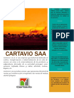 Informe Cartavio Saa