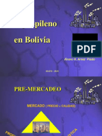PP Bolivia Alvaro