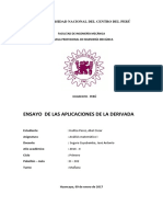 Ensayo de La Aplicaciones de La Derivada