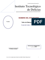 FormatoParaElaborarPlanDeVida PDF