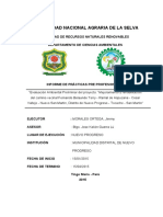 Evaluacion Preliminar Ambiental PDF