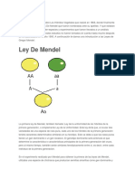 313748319-Leyes-de-Mendel-Estructura-Adn.docx