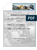 Informes 1-7 Concentracion NICKELDE LA CRUZ FORTUNA PDF