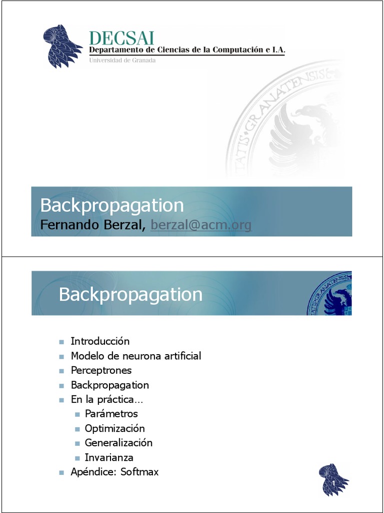 Algoritmo Backpropagation en Redes Neuronales | PDF | Algoritmos ...