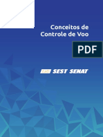 Conceitos de Controle de Voo