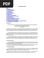 Carta de recomendación laboral