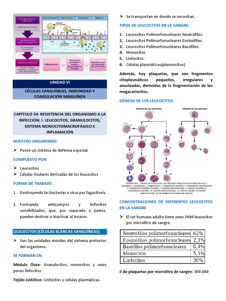 Resumen Del Capitulo 34 de Fisiologia de Guyton y Hall 13va PDF