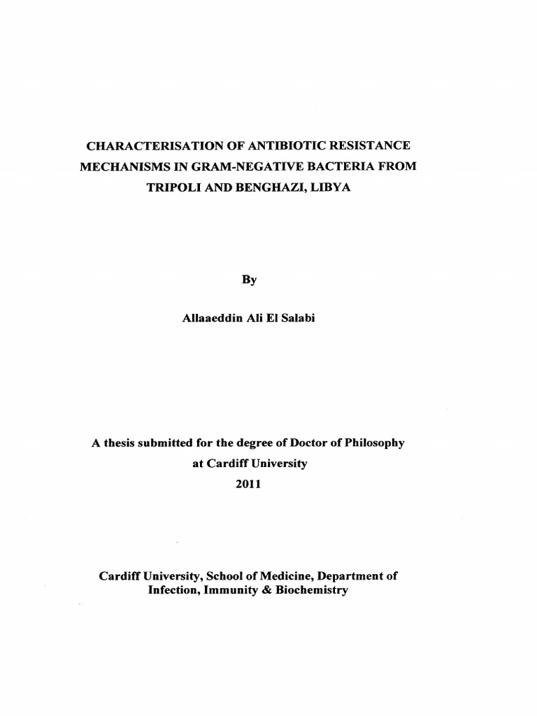 Antibiotic Resistance Mechanisms in Gram-Negative Bacteria | PDF