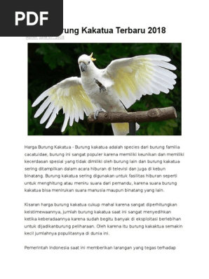 Harga Burung Kakatua Terbaru 2018