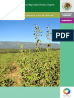 Botanica - Agricultura - Paquete Tecnologico para La Produccion de Oregano (Lippia SPP.) PDF