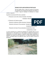 Informe Tecnico de Plantación de Frutales