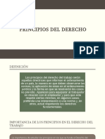 PRINCIPIOS DEL DERECHO.pptx
