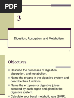 Chapter 03 Digestion