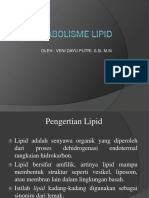 METABOLISME LIPID.pdf