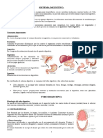 Sistema Digestivo I