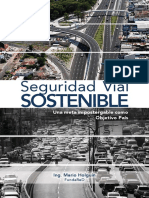 Seguridad Vial Sostenible. Org 01-18-2018