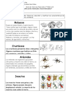 Invertebrados Guía