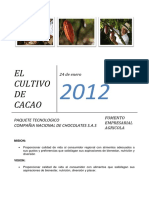 Asesoría en Cacao PDF