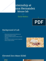 Internship at D'Anna Hernandez: Mouse Lab
