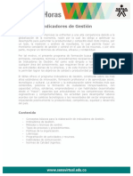 indicadores_gestion.pdf