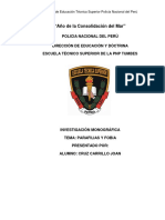 Policia Nacional Del Patrullaje
