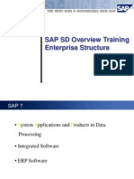 SD Overview Enterprise Structure