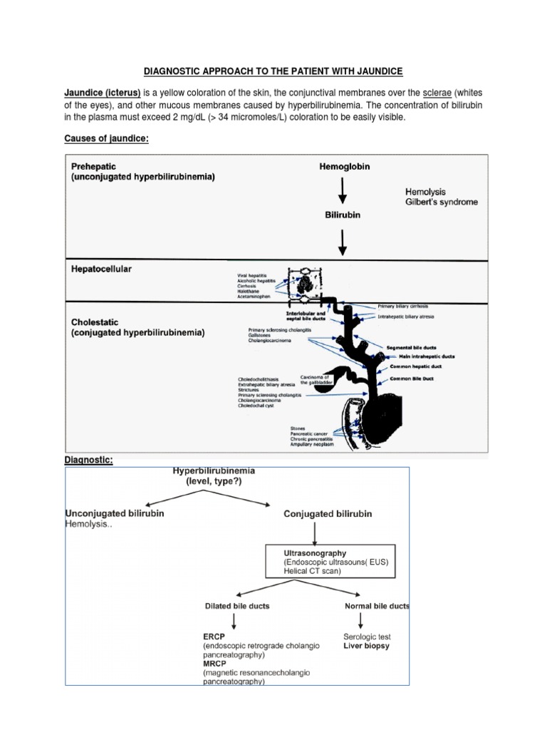 Jaundice Diagnosis Guide for Clinicians | PDF