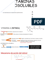 VITAMINAS LIPOSOLUBLES EXPOOO.pptx