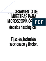 Práctica 1 - Técnica Histológica