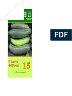 El Cultivo Del Pepino PDF