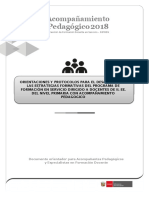 5 24mayo2018 Orientaciones Para El Acompañamiento Pedagógico y Protocolo Del Acompañante Pedagógico 2018