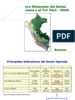 Impacto_TLC_Sector_Agricola-Anexos.ppt