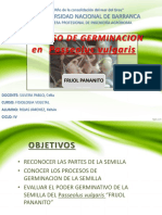 Proceso de Germinacion.pptx