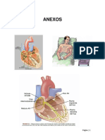 ANEXOS  Electrocardiograma