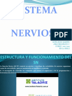 estructurayfuncionamientodelsistemanervioso-121122095802-phpapp02