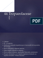 44 Tropaolaceae Apg