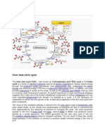 Citric Acid Cycle - Assignment Point Finel.pdf